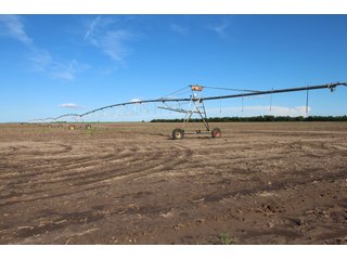Tract 3 - Edwards County, KS farmland - LAND AUCTION - 647+/- ACRES OFFERED IN 4 TRACTS IN RENO & EDWARDS COUNTY, KANSAS